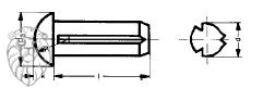 hřeb rýhovaný nerez A1 - průměr: 2.5 mm, délka: 5 mm