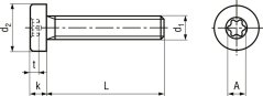 šroub torx nízká hl. ocel 8.8 ZB