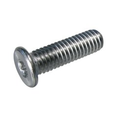 šroub torx nízká hl. nerez A2 bezPÚ