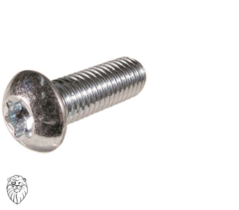 šroub půlkulatá nerez A2