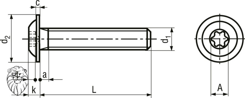 šroub půlkulatá nerez A2